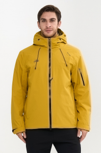 E2453-15 горчичный