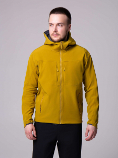 E2466-15 горчичный