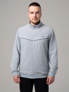 E2493-4 светло-серый